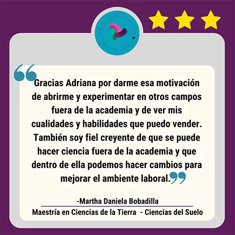 31 copia